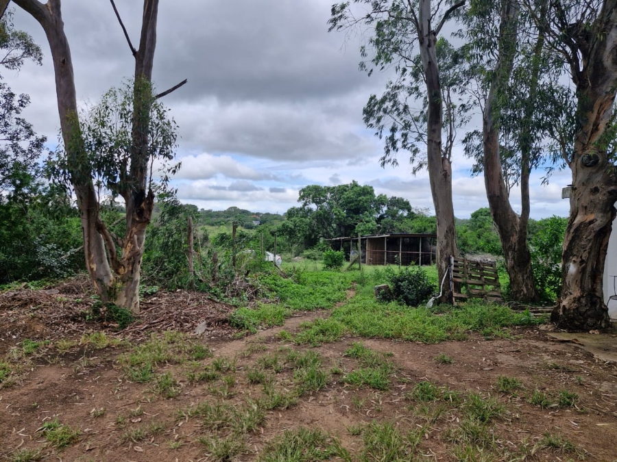 3 Bedroom Property for Sale in Bathurst Eastern Cape